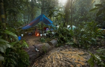 The “kitchen” area of the expedition’s camp deep in the Mosquitia jungle, 2015. The area was so remote, the animals apparently had never seen people before and wandered about, unafraid.